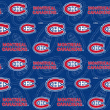 Hockey Adult Clothing Protector (Bib)- made with NHL fabric-Handmade