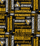 Hockey Adult Clothing Protector (Bib)- made with NHL fabric-Handmade